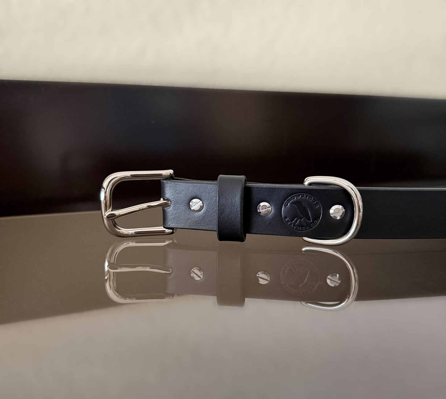 Dog Collar — Black with Silver hardware